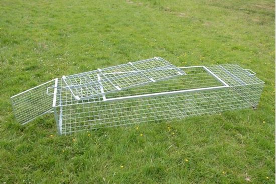 Picture of Canoe Trailer Cage